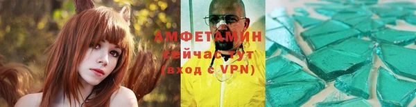 прущие грибы Наволоки