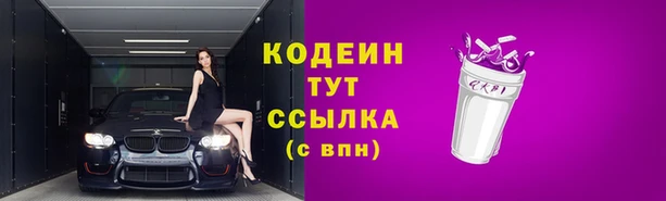 прущие грибы Наволоки