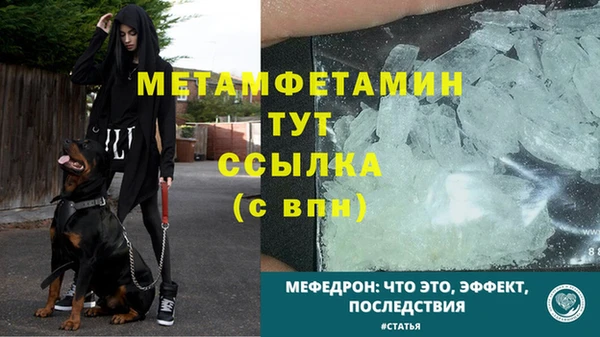 прущие грибы Наволоки