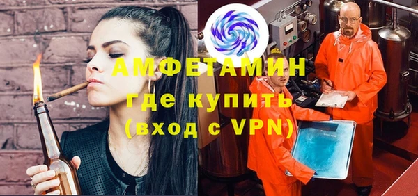 прущие грибы Наволоки