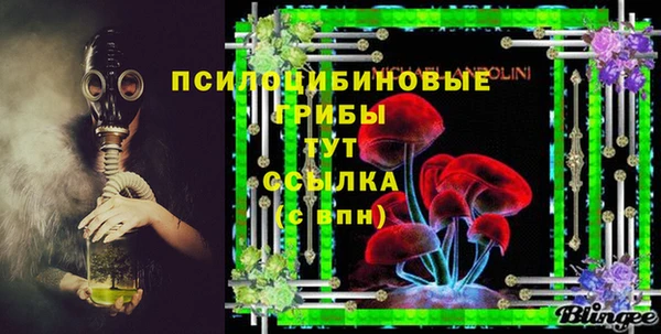 прущие грибы Наволоки