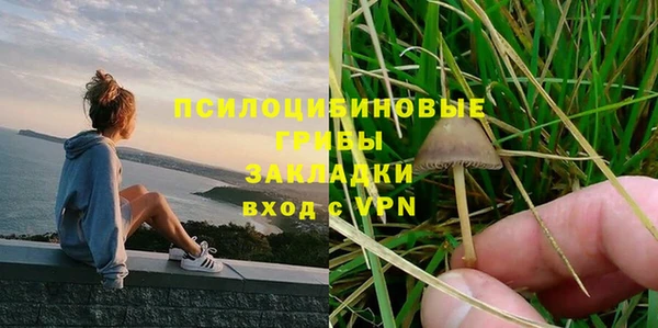 не бодяженный Надым