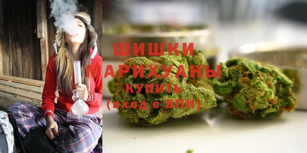 прущие грибы Наволоки
