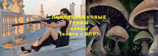 гидра Болхов