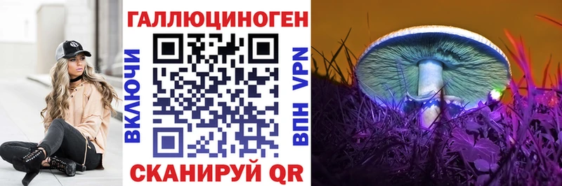 Галлюциногенные грибы Cubensis  Сортавала 